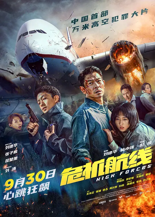 危机航线 (2024) 高清在线播放｜动作犯罪灾难电影完整版解析