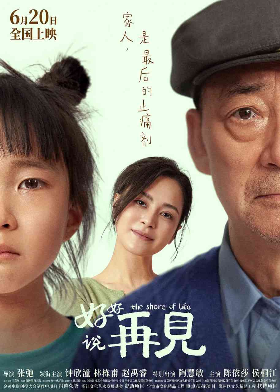好好说再见在线播放｜家庭亲情剧情温情力作高清