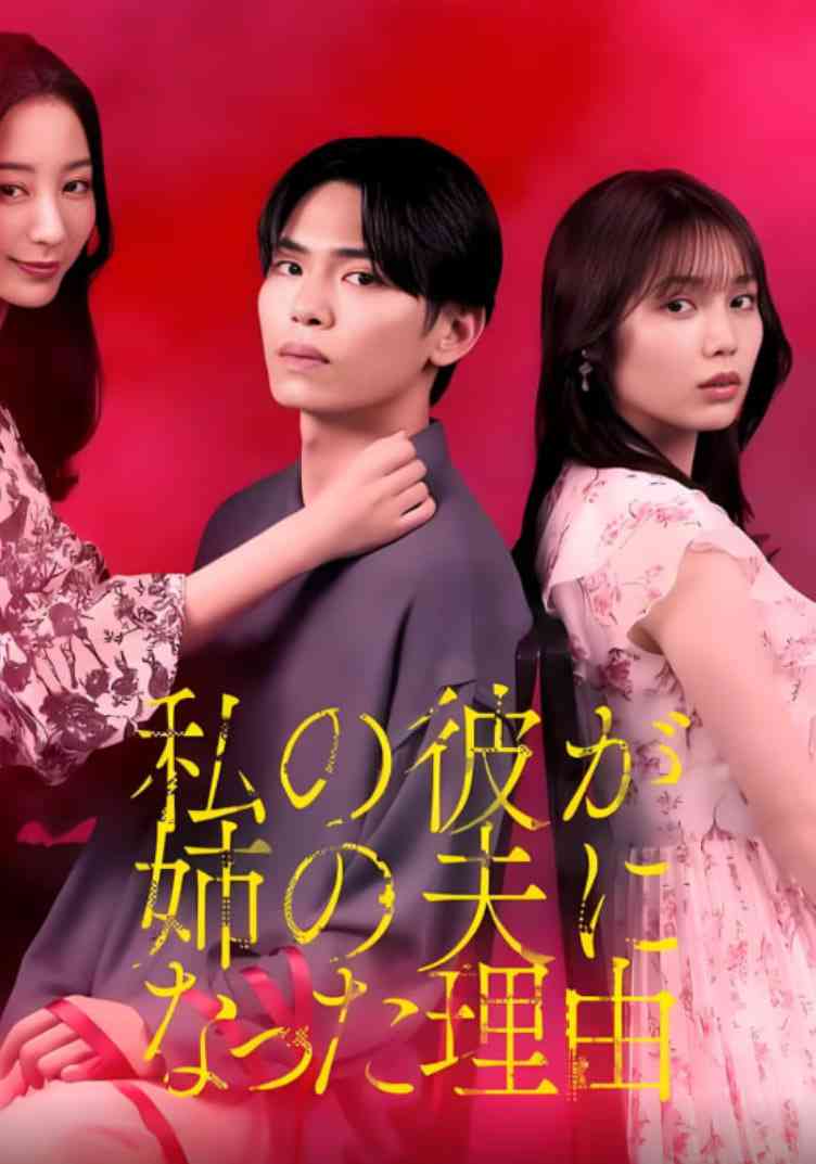 《我男友成了姐夫的理由》在线播放｜2025日本爱情悬疑剧